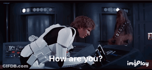 Han Solo And Chewbacca How Are You GIF