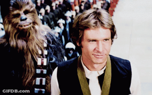 Han Solo And Chewbacca Standing GIF
