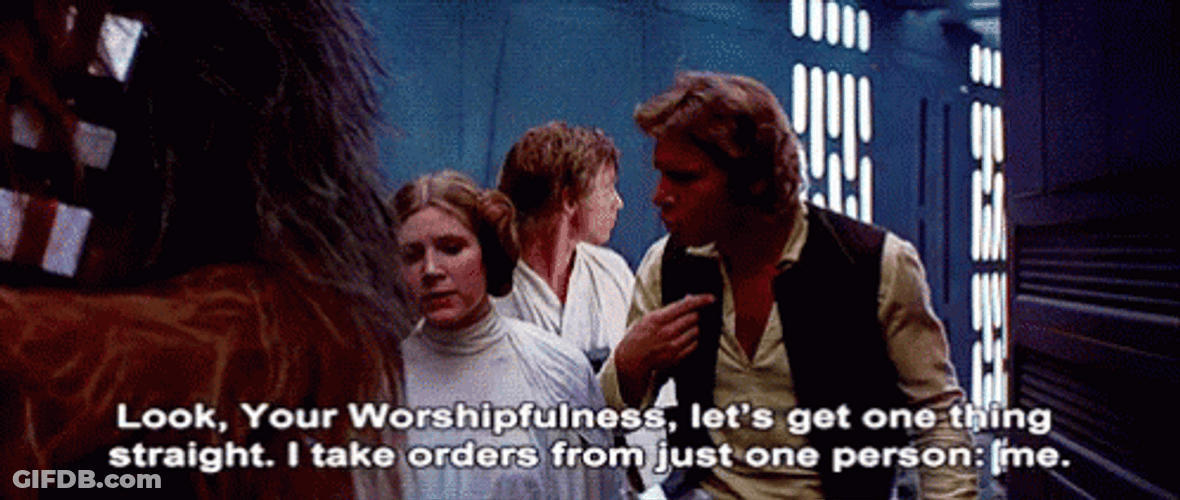 Han Solo Explaining To Princess Leia GIF
