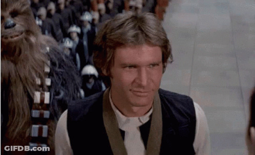 Han Solo In Front Of Chewbacca Soldiers GIF