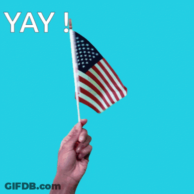 Hand Holding American Flag Saying Yay GIF
