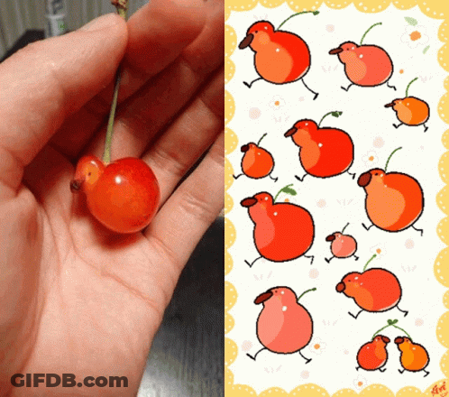 Hand Holding Cherry Beside Cherry Birds Drawing GIF