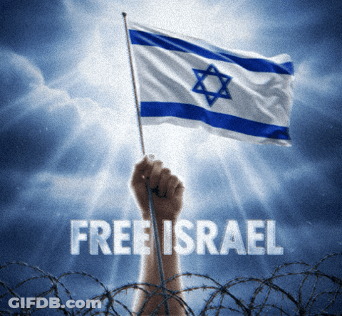 Hand Holding Flag With Free Israel GIF