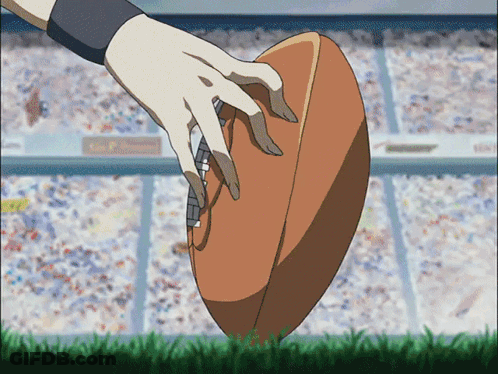 Hand Holding Football On Field GIF