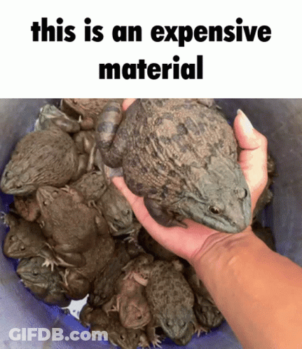 Hand Holding Frog Over Bucket Saying This Is An Expensive Material GIF