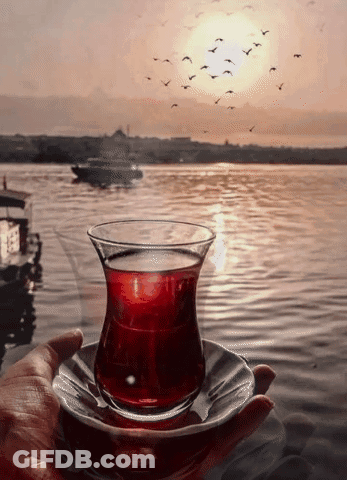 Hand Holding Glass Of Red Liquid By Water GIF