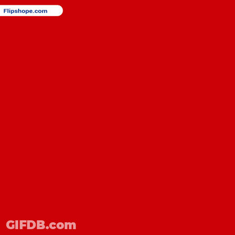 Hand Holding Red Roses Bouquet With Flipshope.com Logo GIF