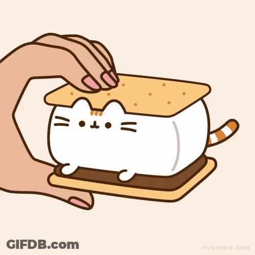 Hand Holding S'mores With Cat GIF