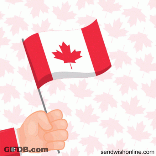Hand Holding Small Canadian Flag GIF
