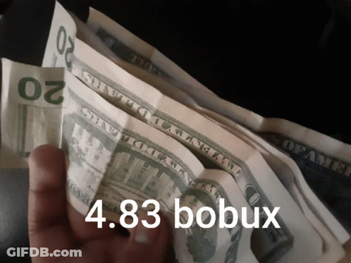 Hand Holding Stack Of 20 Dollar Bills With 4.84 Bobux GIF