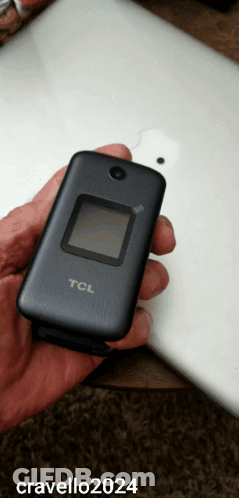 Hand Holding TCL Flip Phone GIF