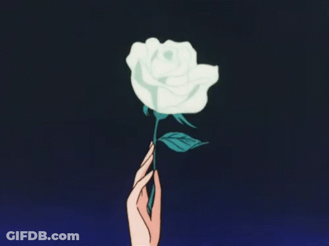 Hand Holding White Rose Anime Flower GIF