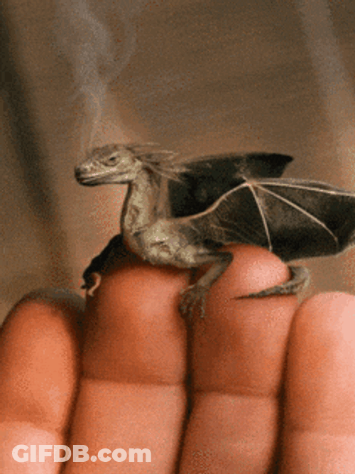 Hand Little GIF