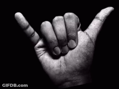 Hand Making Hang Loose Sign GIF