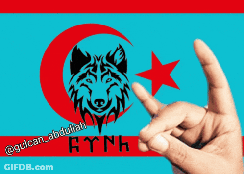 Hand Making Peace Sign In Front Of Flag GIF