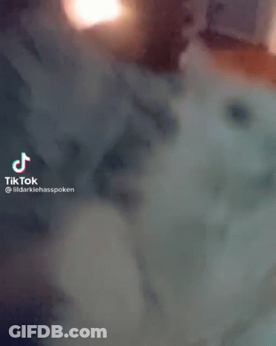 Hand On Purple Background With TikTok Watermark GIF
