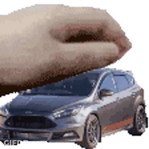 Hand Petting The Ford GIF