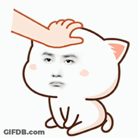 Hand Petting White Cat's Head GIF
