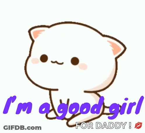Hand Petting White Cat's Head GIF