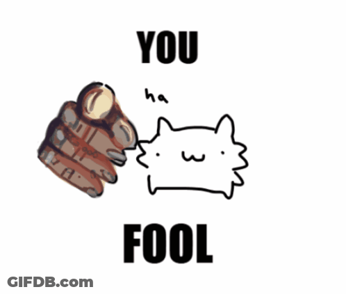 Hand Pointing At Cat Saying You Fool GIF