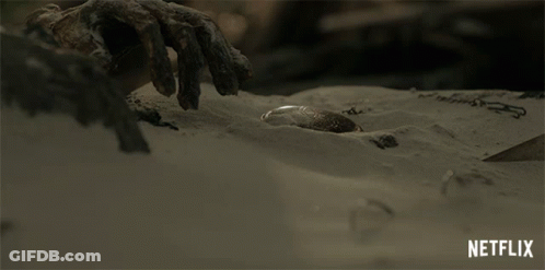 Hand Reaching Into Sand GIF