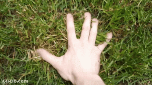 Hand Reaching Toward Green Grass GIF