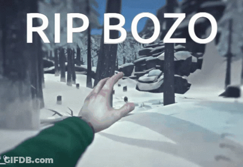 Hand Reaching Towards Snowy Forest Rip Bozo GIF
