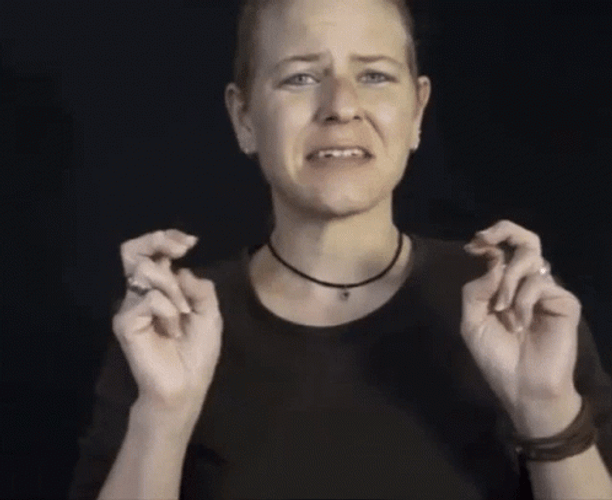 Hand Signing Sign Language Deaf Slang GIF