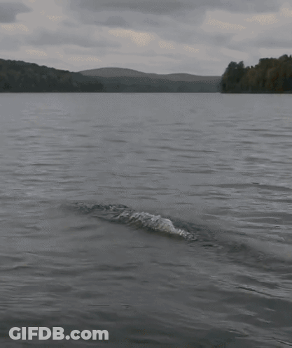 Hand Sticking Out Water Giving Middle Finger GIF