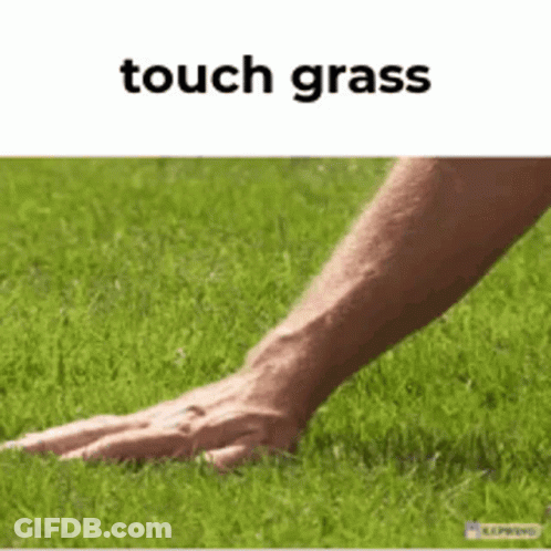 Hand Touching Lush Green Lawn GIF