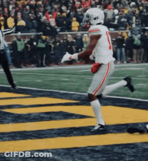 Hand Touching Mossy Rock GIF