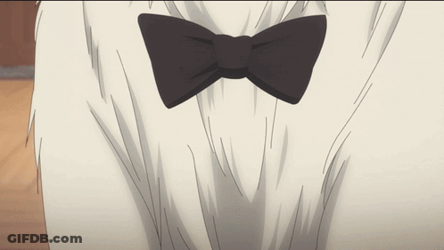 Hand Touching Person's Black Bow Tie GIF