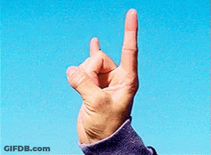 Hand Waving Hook Em Sign GIF