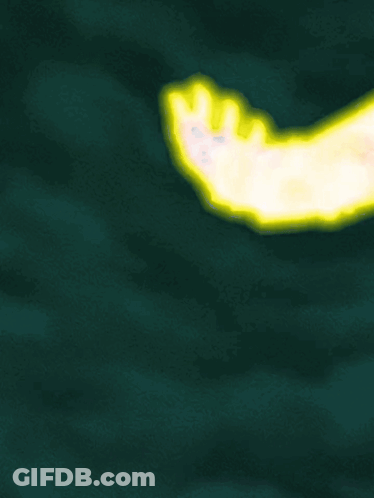Hand With Chinese Writing GIF