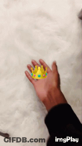 Hand With Crown Imgplay GIF