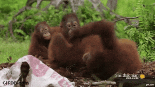 Hand With Index Finger Pointing Up GIF