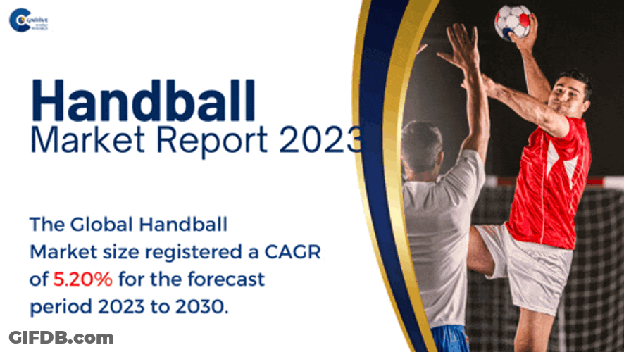Handball Market Report 2024 Meme GIF