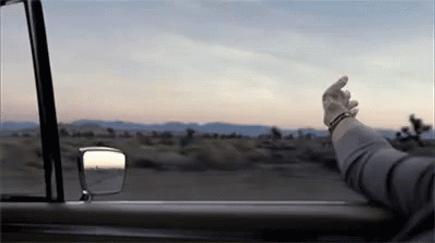 Hands In The Air Road Trip Meme GIF