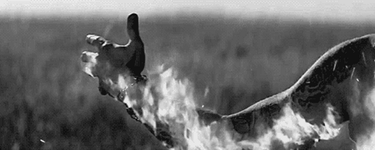 Hands On Flame GIF