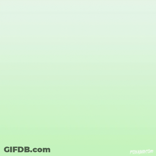 Hands Up Together Everyone GIF