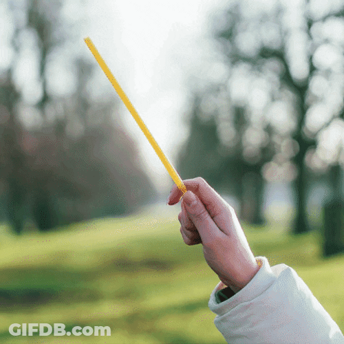 Hands With Harry Potter Magic Wand With Nature Background GIF