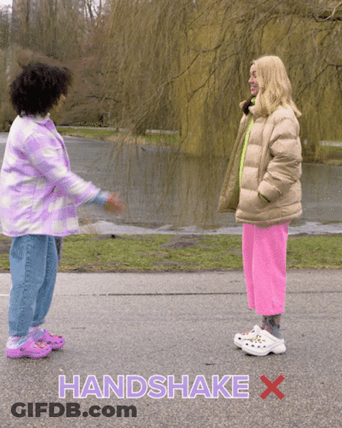 Handshake No Crocshake Yes GIF