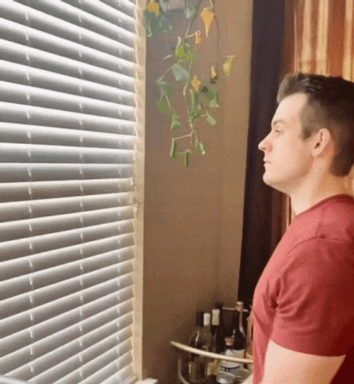 Handsome Boy Looking Out The Window GIF
