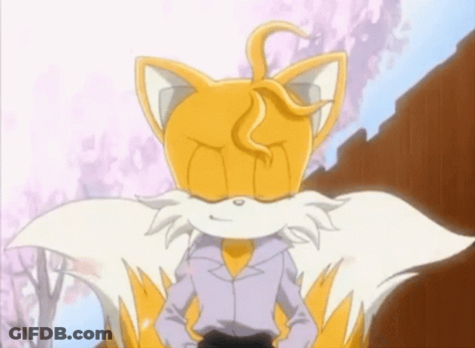 Handsome Cool Tails GIF