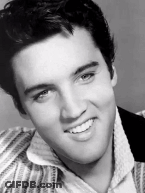 Handsome Elvis Varied Image Compilation GIF
