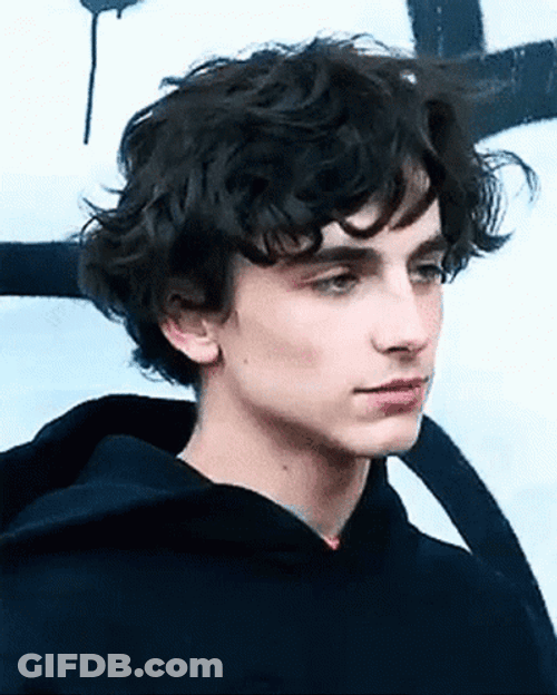 Handsome Guy Timothée Chalamet GIF