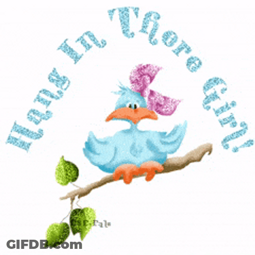 Hang In There Bird Graphic Design GIF