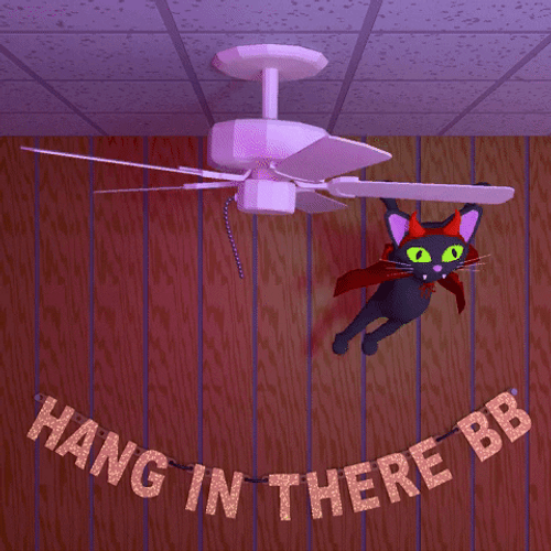 Hang In There Black Cat Animation GIF