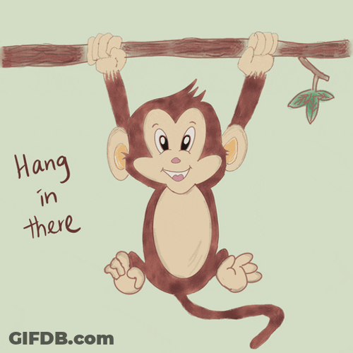 Hang In There Cute Monkey Drawing GIF