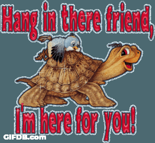 Hang In There Friend Turtle Visual Art GIF